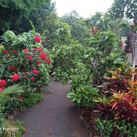 Tribal Village Homestay & Trekking Banlung Exterior photo